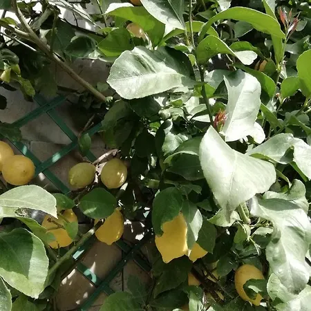 Viacolvento * Ferrada di Moconesi
