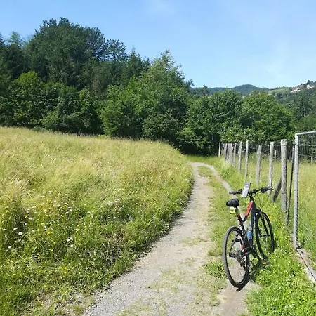 Apartmán Viacolvento